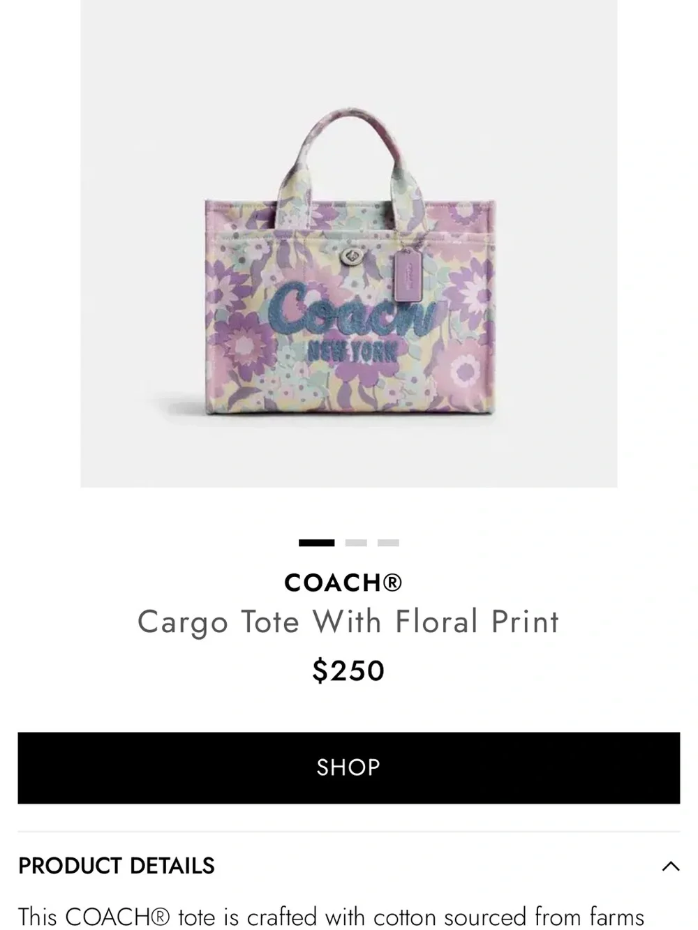 Coach Floral Canvas Tote in Lavender and Mint